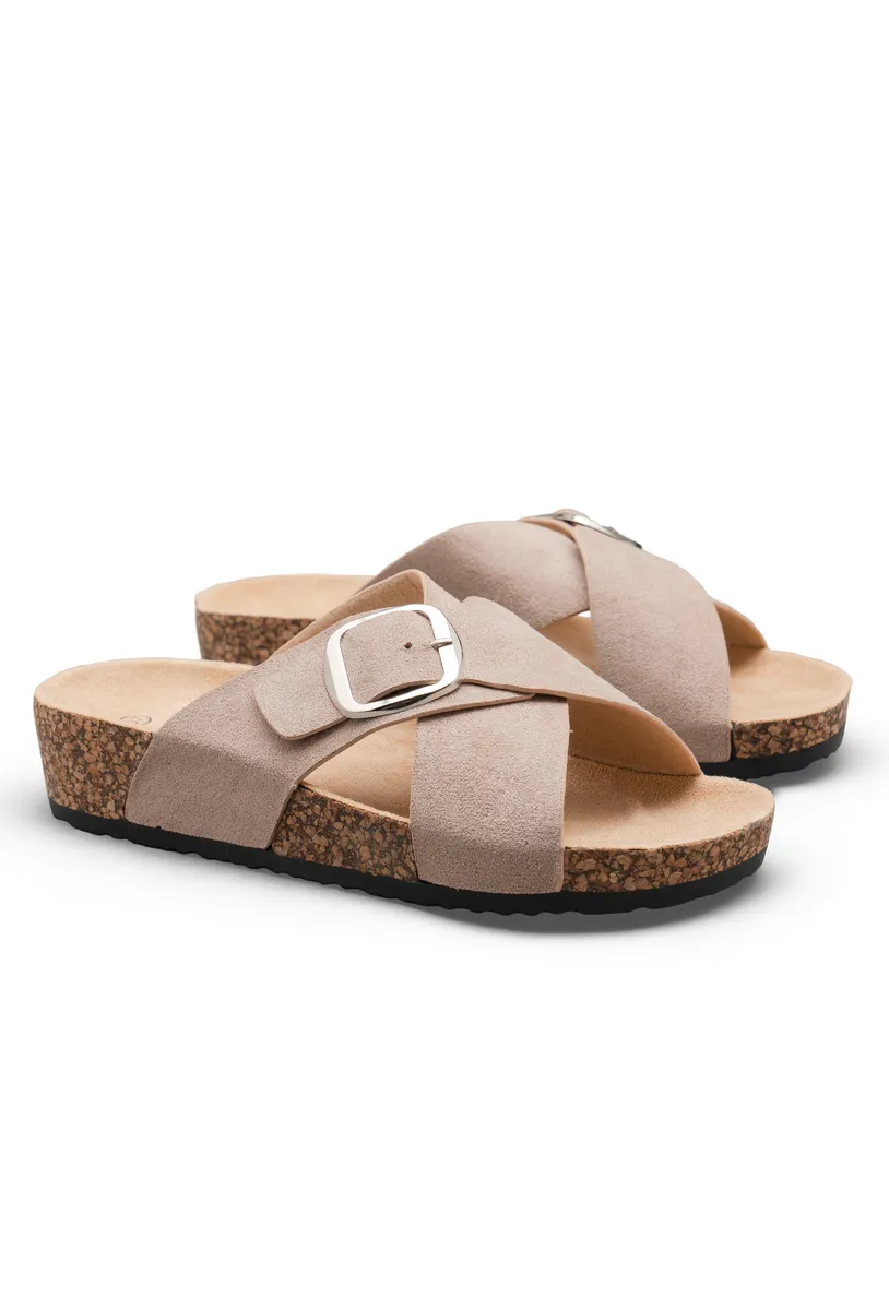TAUPE photo 3