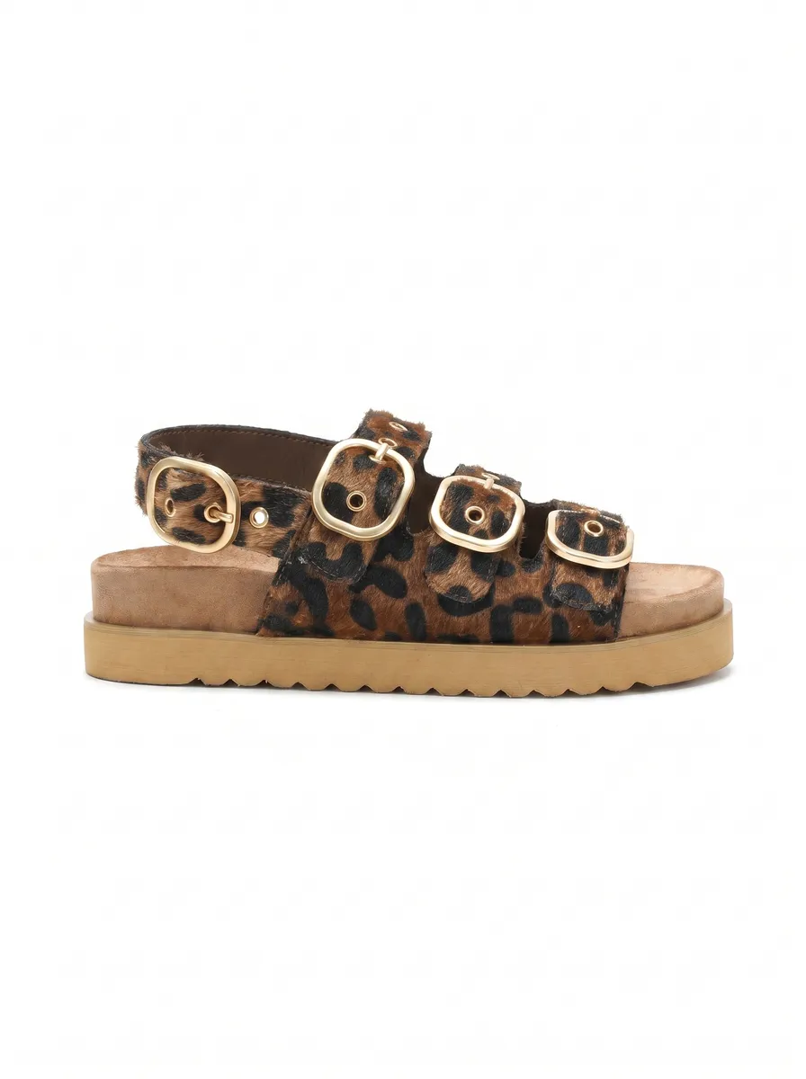 LEOPARD