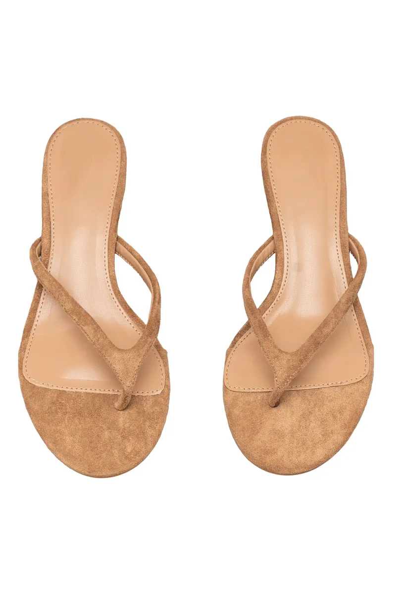 TAUPE photo 4