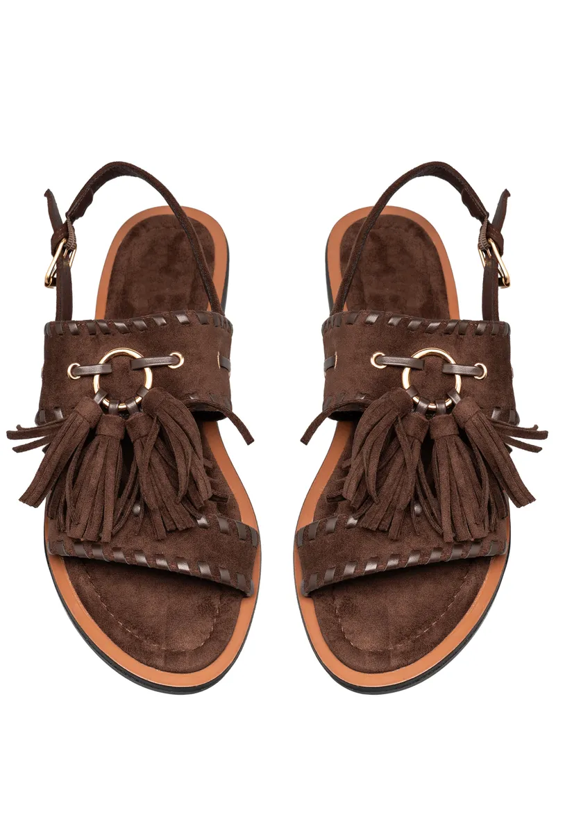 BROWN photo 4