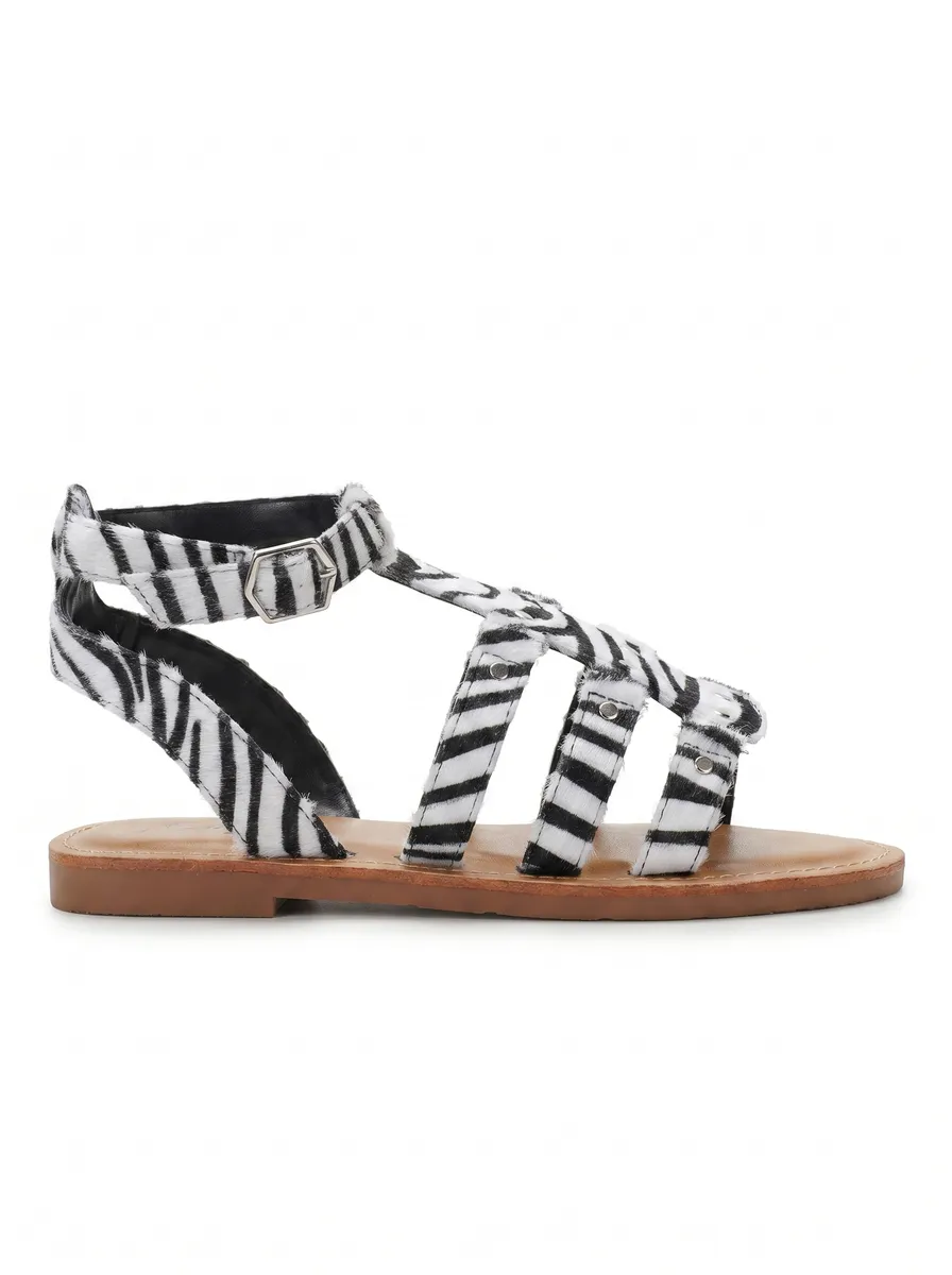 ZEBRA photo 1