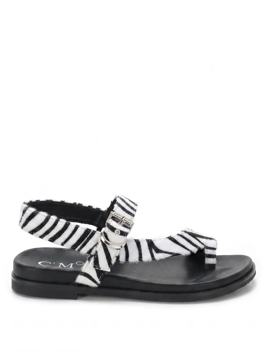 ZEBRA photo 1