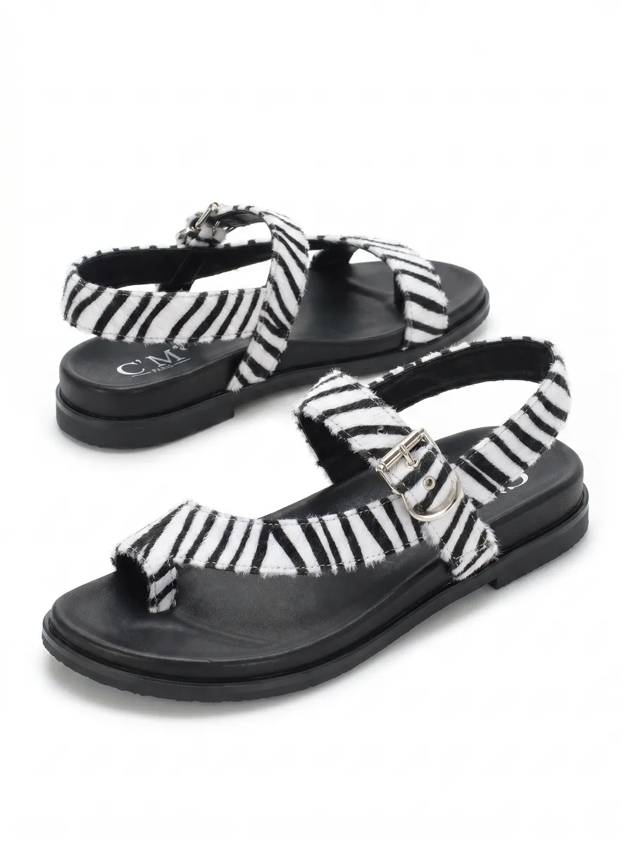 ZEBRA photo 3